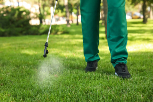 White Mountain Lake, AZ Pest Control Company